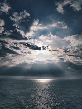 您提供的句子“光”似乎是一个不完整或模糊的表达，没有具体上下文很难理解其含义