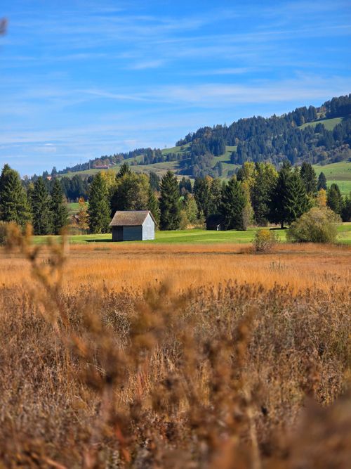 Free Idyllic pastoral landscape with a solitary barn in a meadow at Rothenthurm, Switzerland. Stock Photo