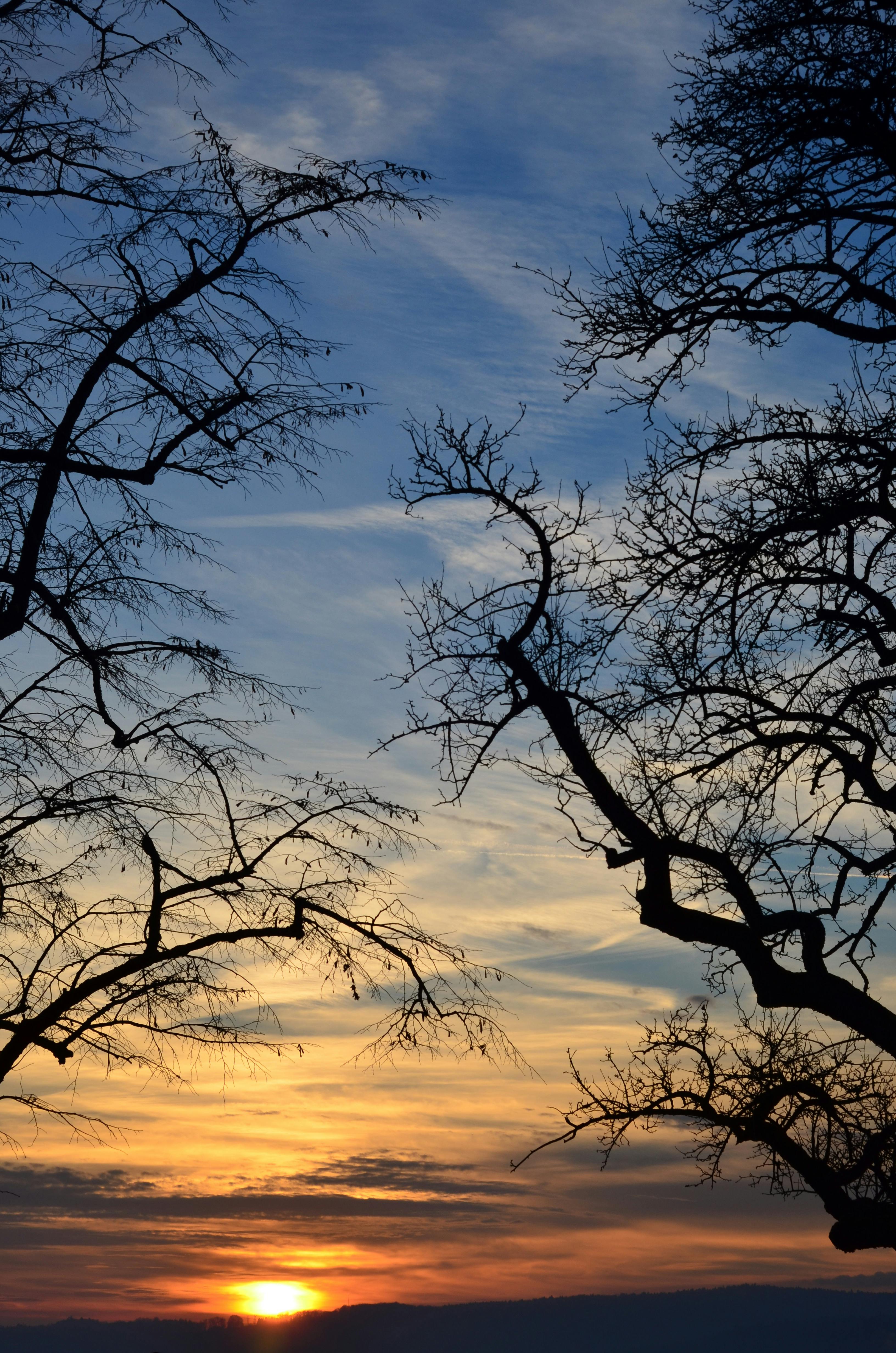好的，我会根据您的要求进行句子的调整