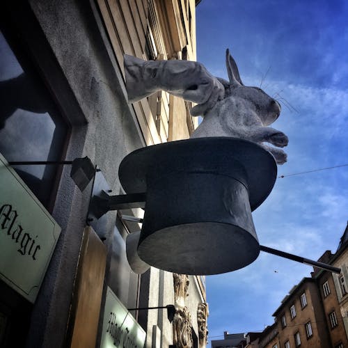 마법, 모자, 비엔나의 무료 스톡 사진