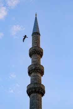 在宁静的蓝天和翱翔的鸟儿的背景下，高耸的尖塔和错综复杂的细节显得格外引人注目