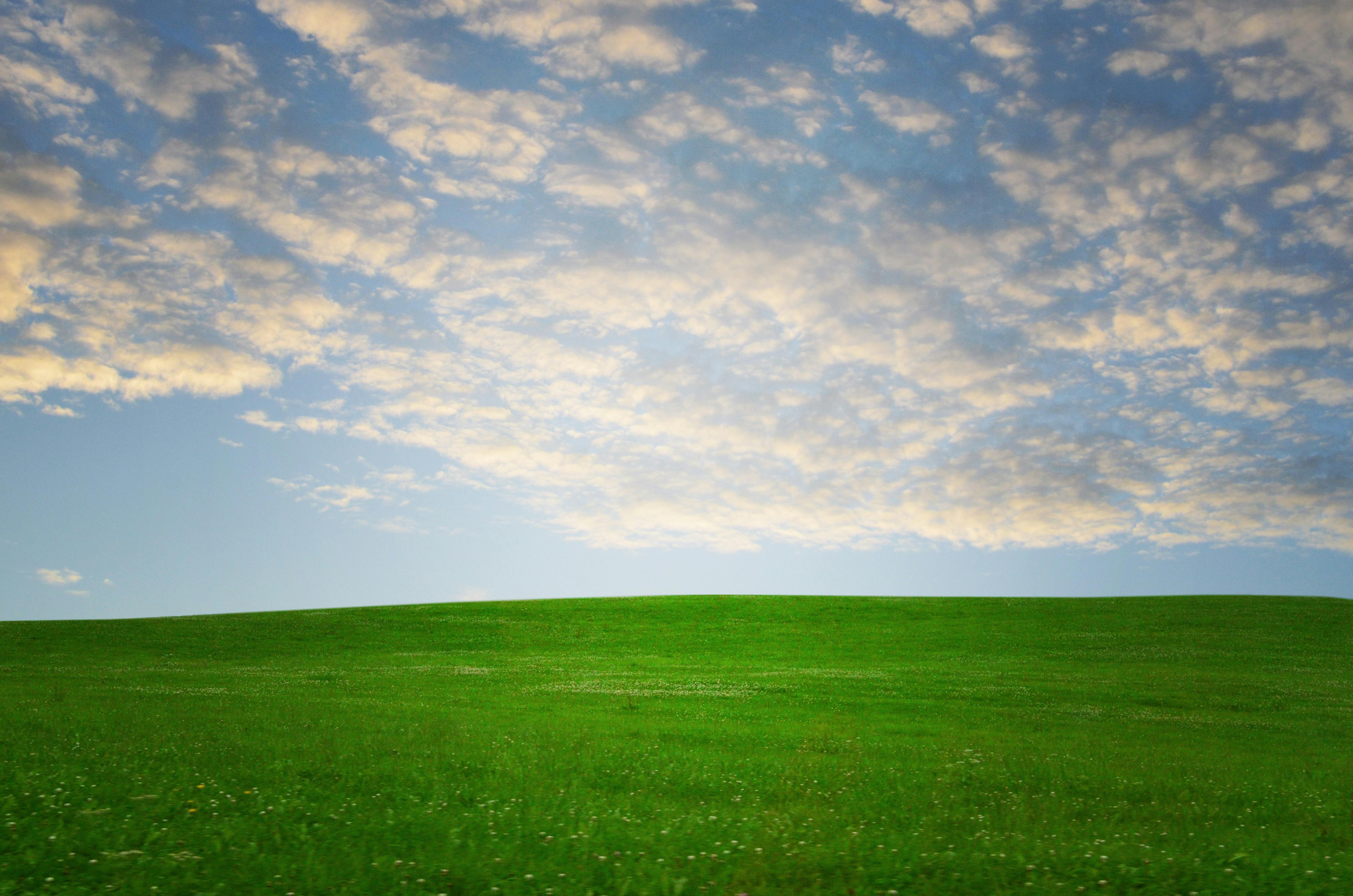 极乐是佛教中的一个概念，指的是一种超越世俗烦恼和痛苦的精神状态