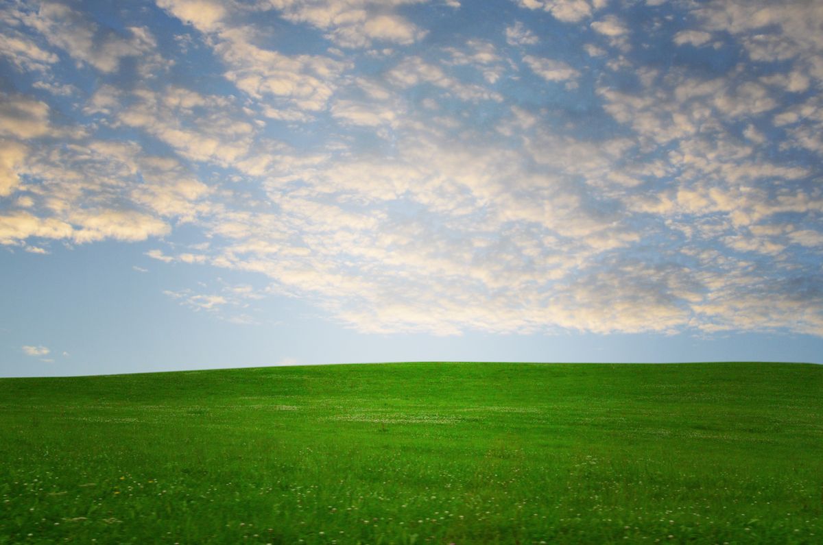 Green Grass Field Under Blue Sky · Free Stock Photo