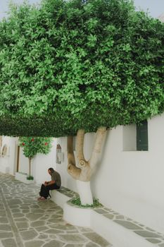 A man sits thoughtfully under a lush tree beside a white-washed Greek building.