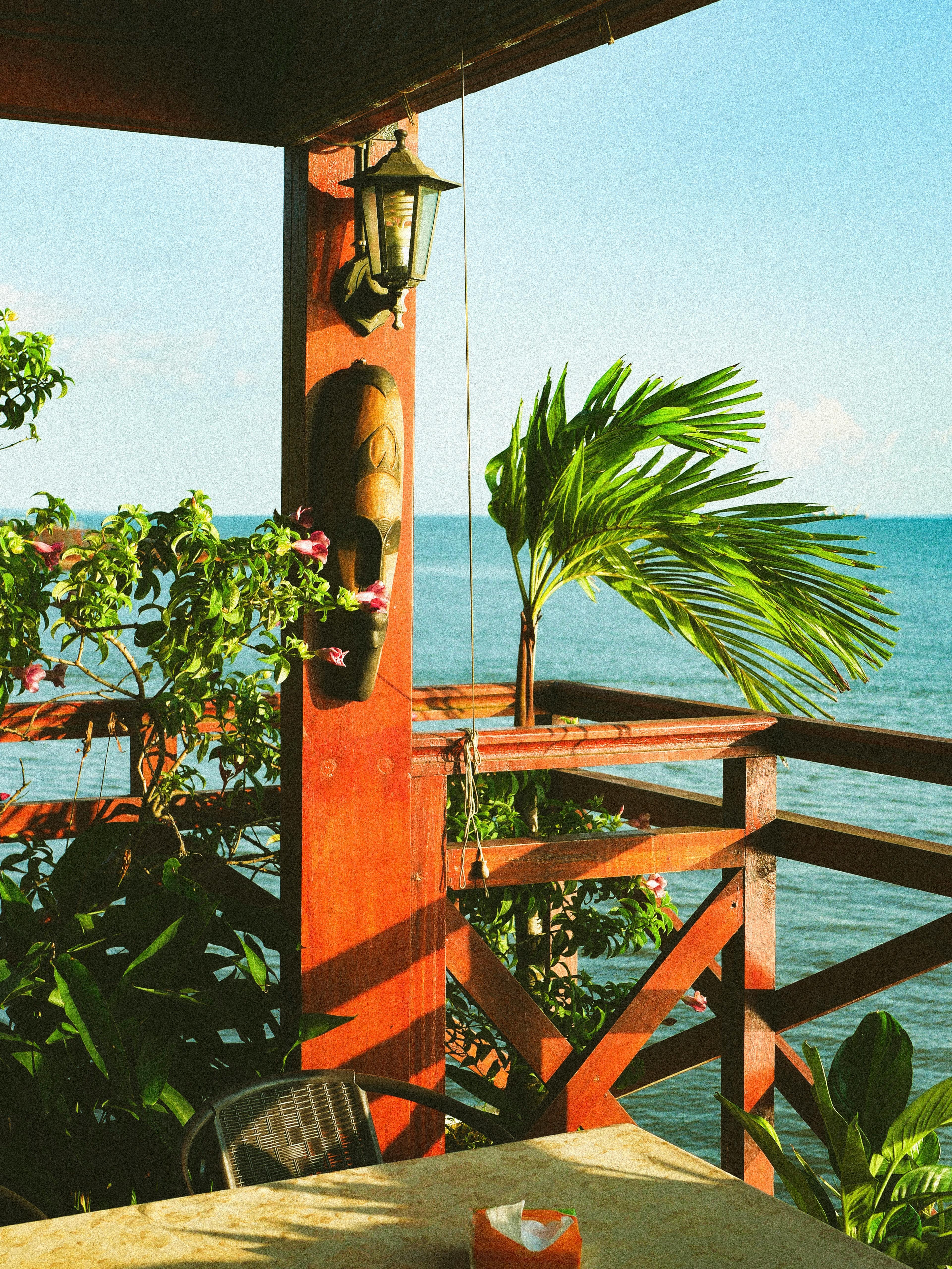 沐浴在温暖的阳光下，郁郁葱葱的木甲板上可以欣赏宁静的海景