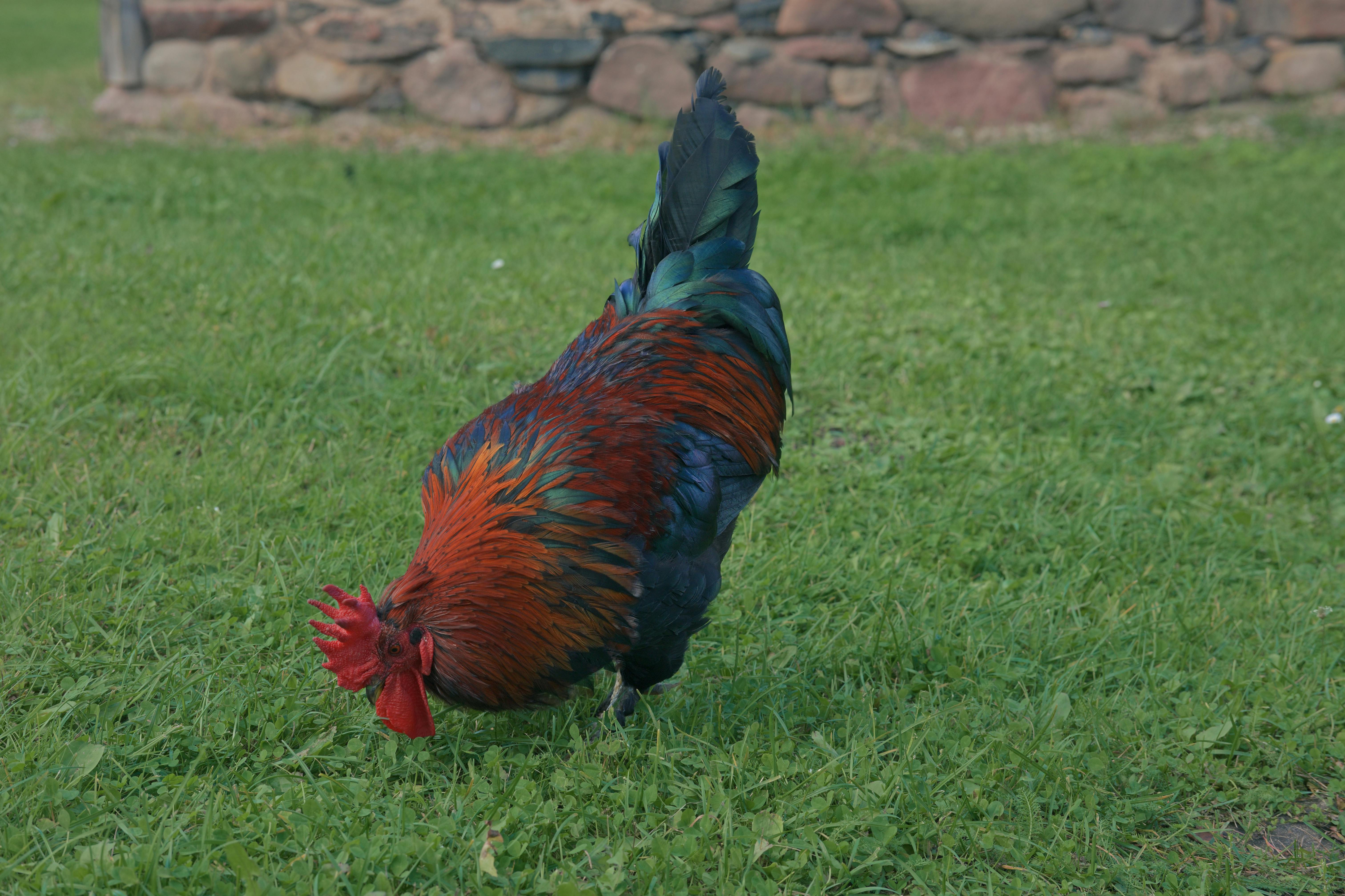農業局推秋季綠生活巡禮 探訪台中後花園美景