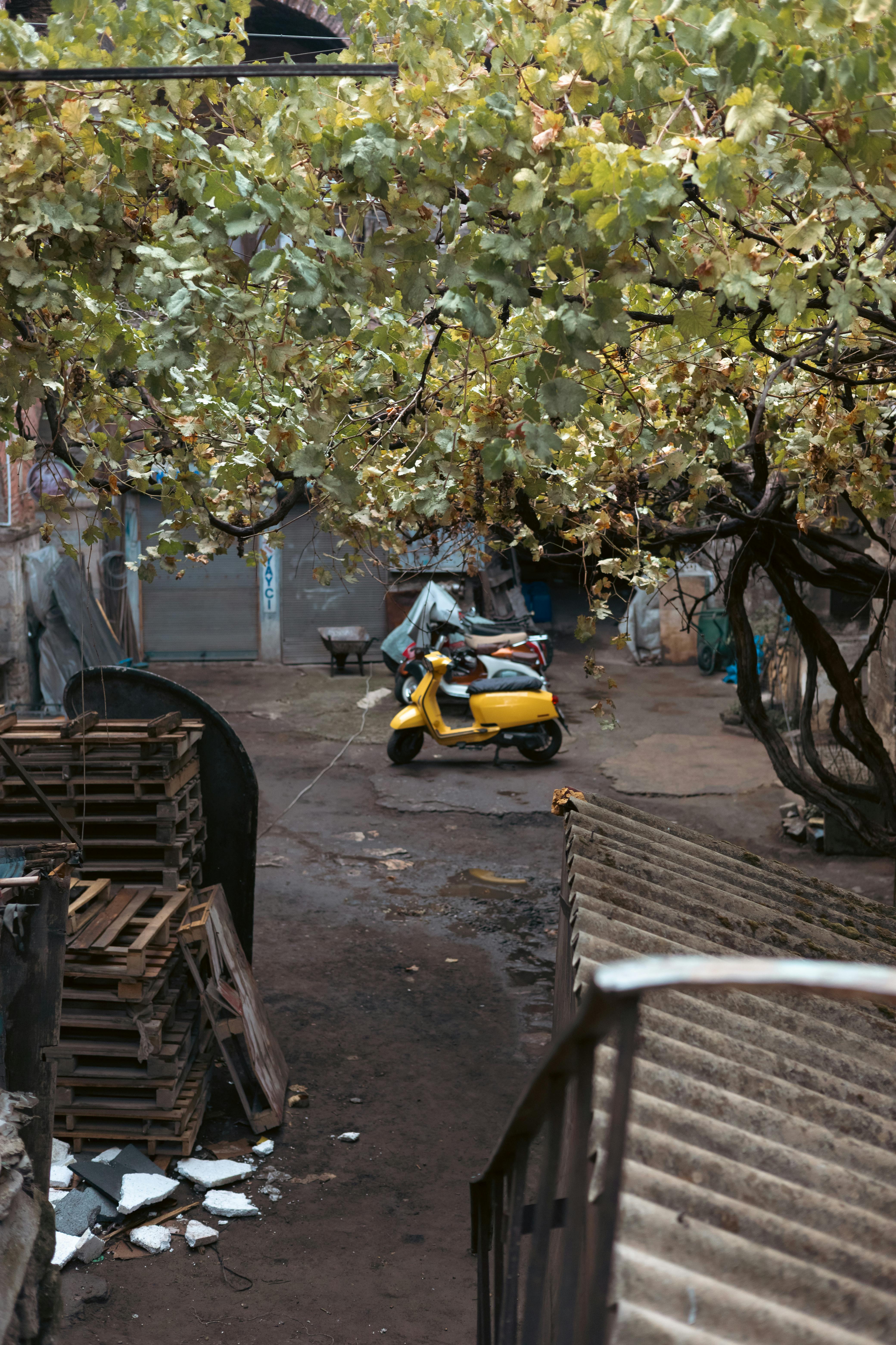 Gratuit Imagine de stoc gratuită din @în aer liber, arcadă, ascuns Fotografie de stoc