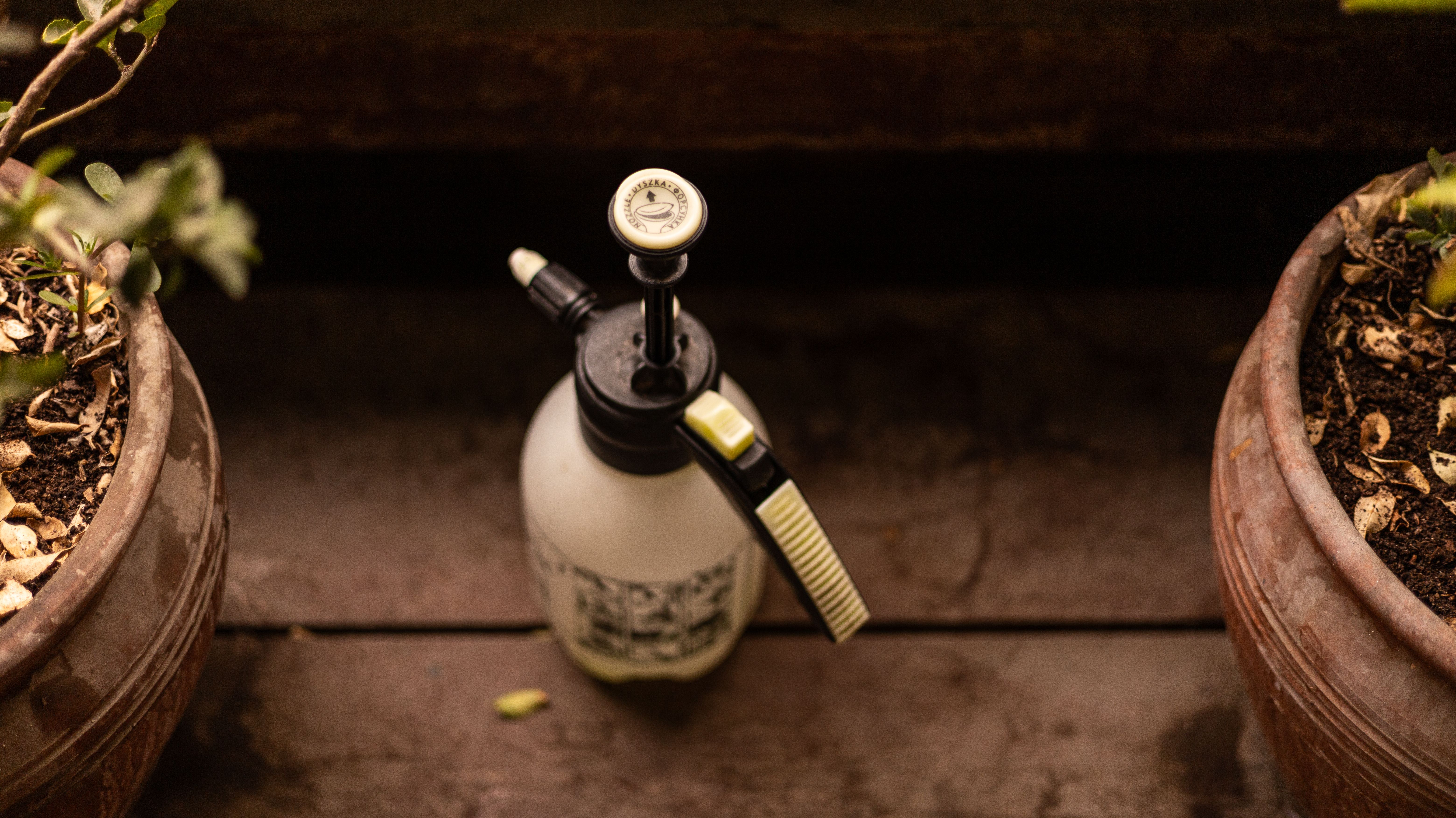 Vintage spray bottle on wooden surface with potted plants, creating a rustic garden feel.