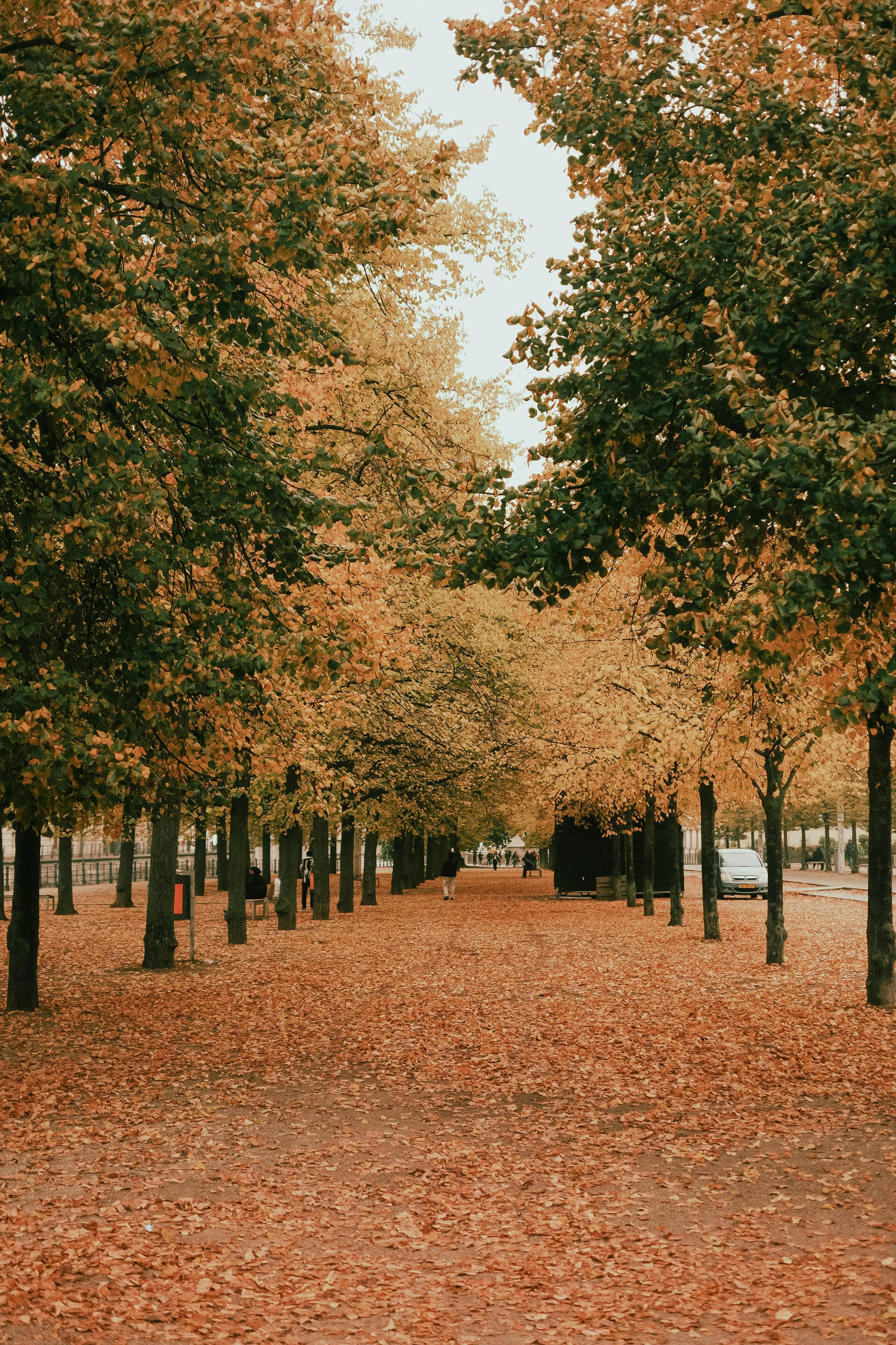 Herbstlicher Weg im Gruenen nahe Harlaching, Muenchen