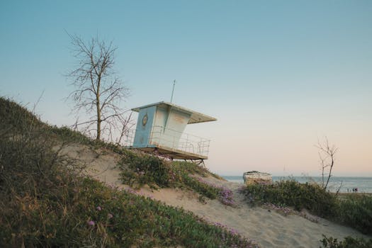 加利福尼亚州圣克鲁斯的日落时分，海滩上呈现出宁静的景观