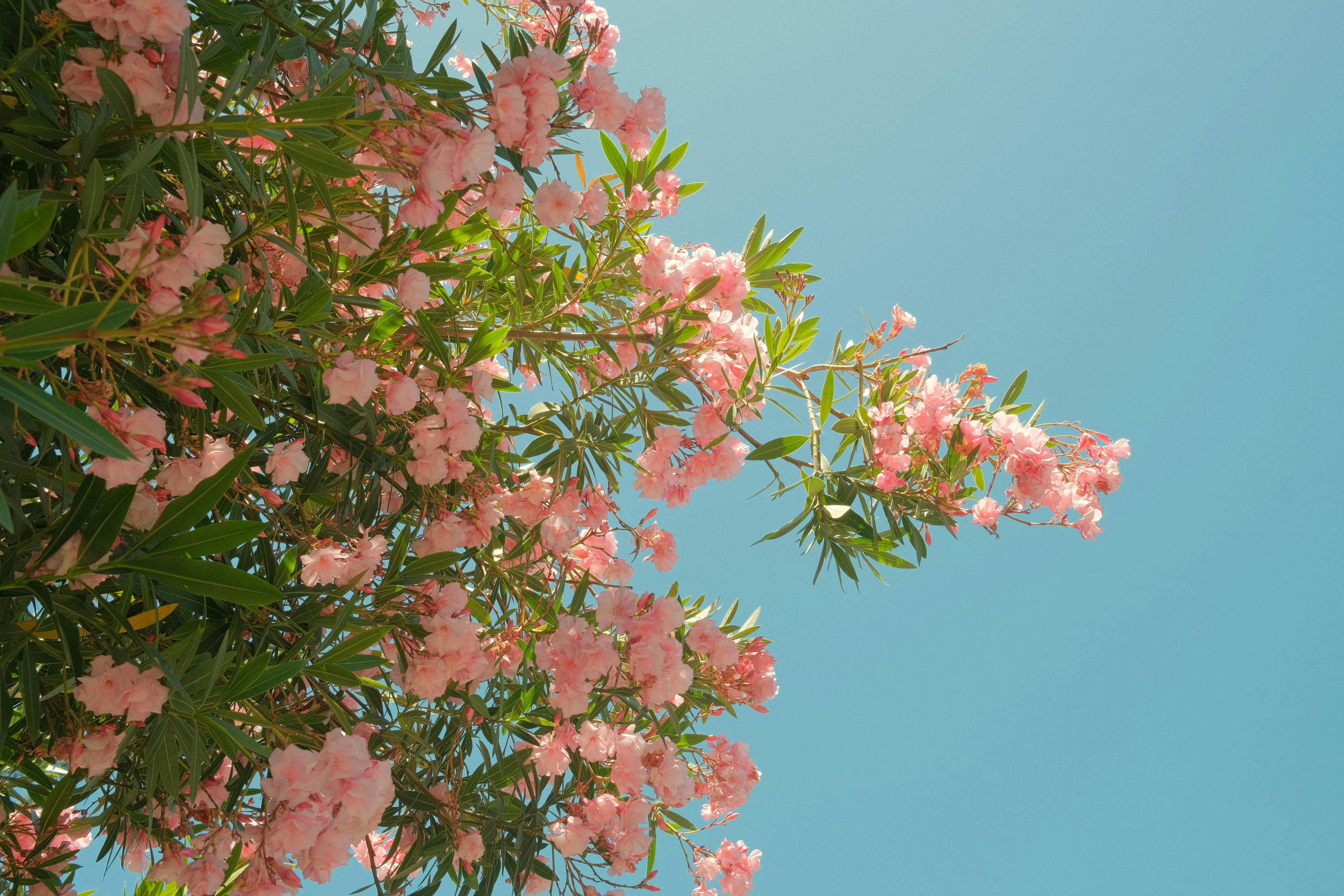 好的，我会按照您的要求进行优化