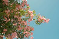 好的，我会按照您的要求进行优化