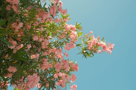 好的，我会按照您的要求进行优化