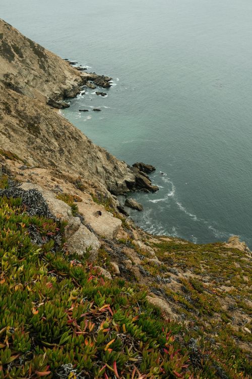 Free Stunning aerial view of the rugged cliffs along California's coastline with lush vegetation. Stock Photo