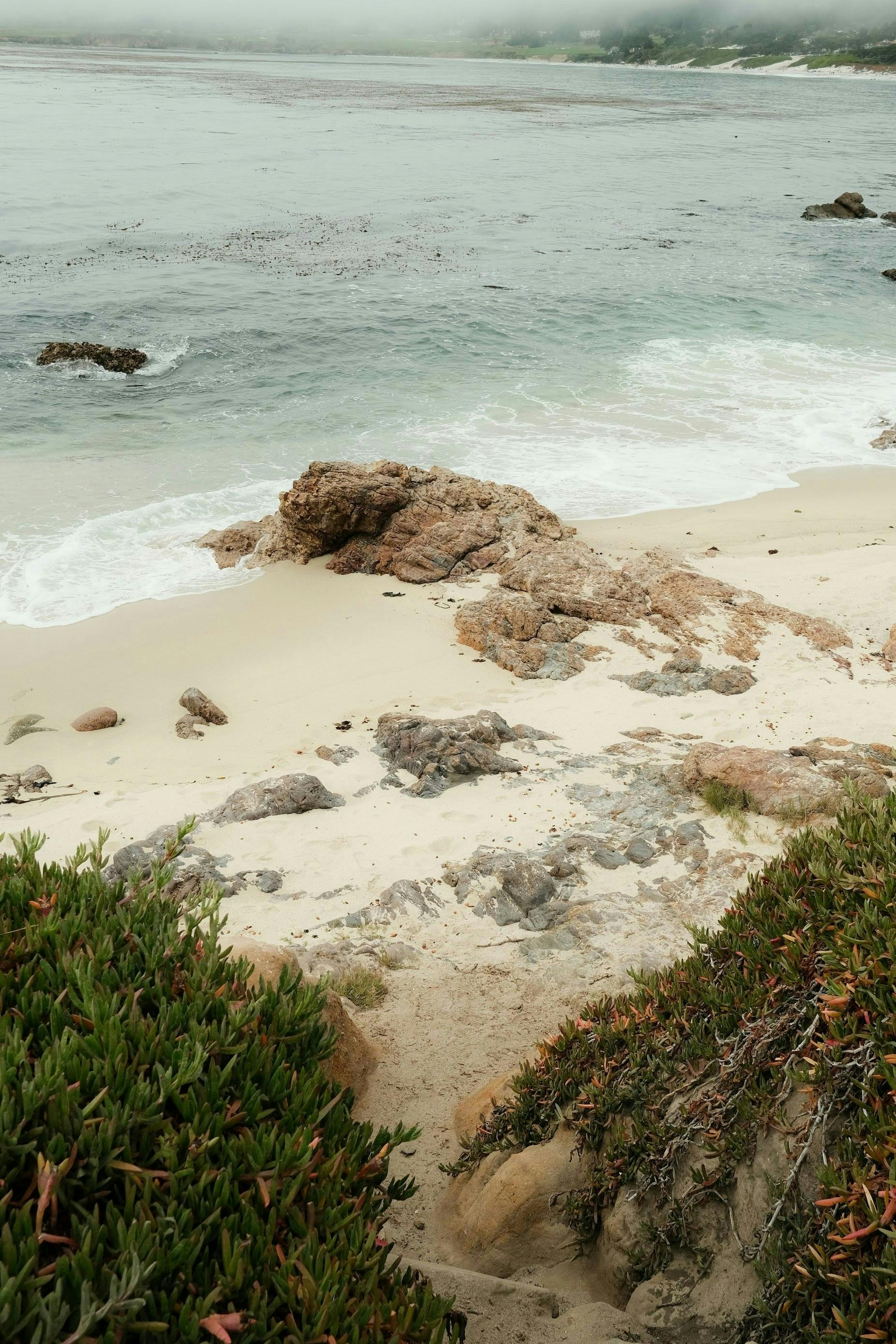 在宁静的天空下，岩石海滩的迷人图像展现眼前，海浪不断拍打着海岸