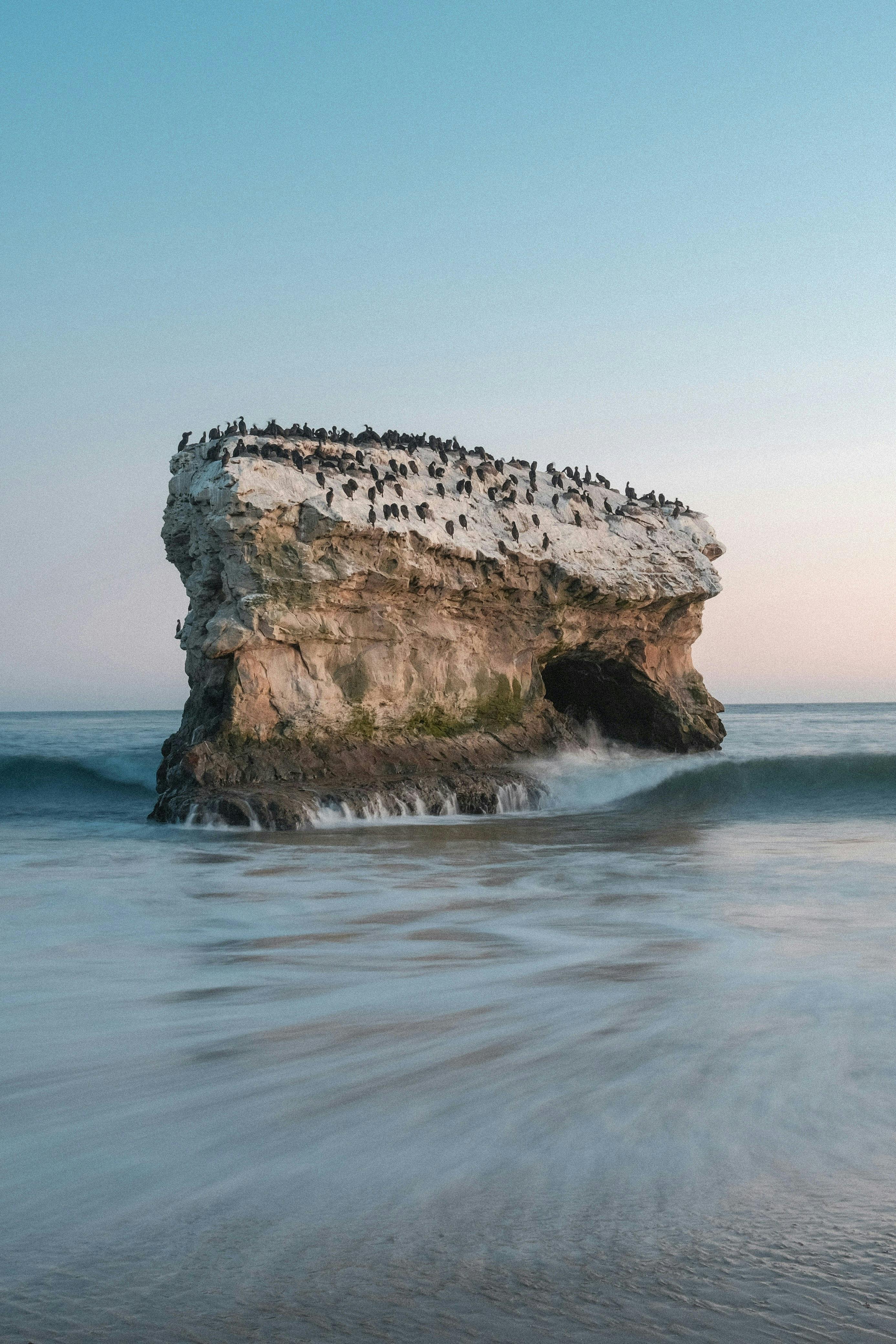 Scenic view of Natural Bridges rock formation with birds at sunset over the ocean.