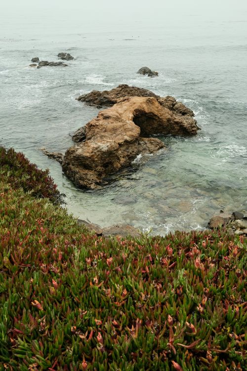 Free Majestic coastal rocks surrounded by vibrant flora at Carmel-by-the-Sea, CA. Stock Photo
