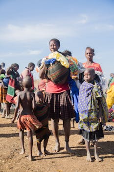 好的，我会按照您的要求进行句子优化