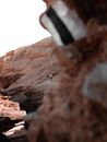 探索一个岩石地层和沙质小径遍布的戏剧性沙漠峡谷