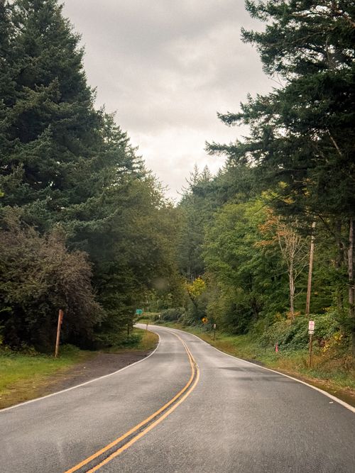 Free Discover the tranquil beauty of an overcast road in Corbett, Oregon, surrounded by lush greenery. Stock Photo