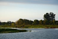 宁静的湖畔，水面平静如镜，郁郁葱葱的树木在晴朗的天空下显得格外生机勃勃