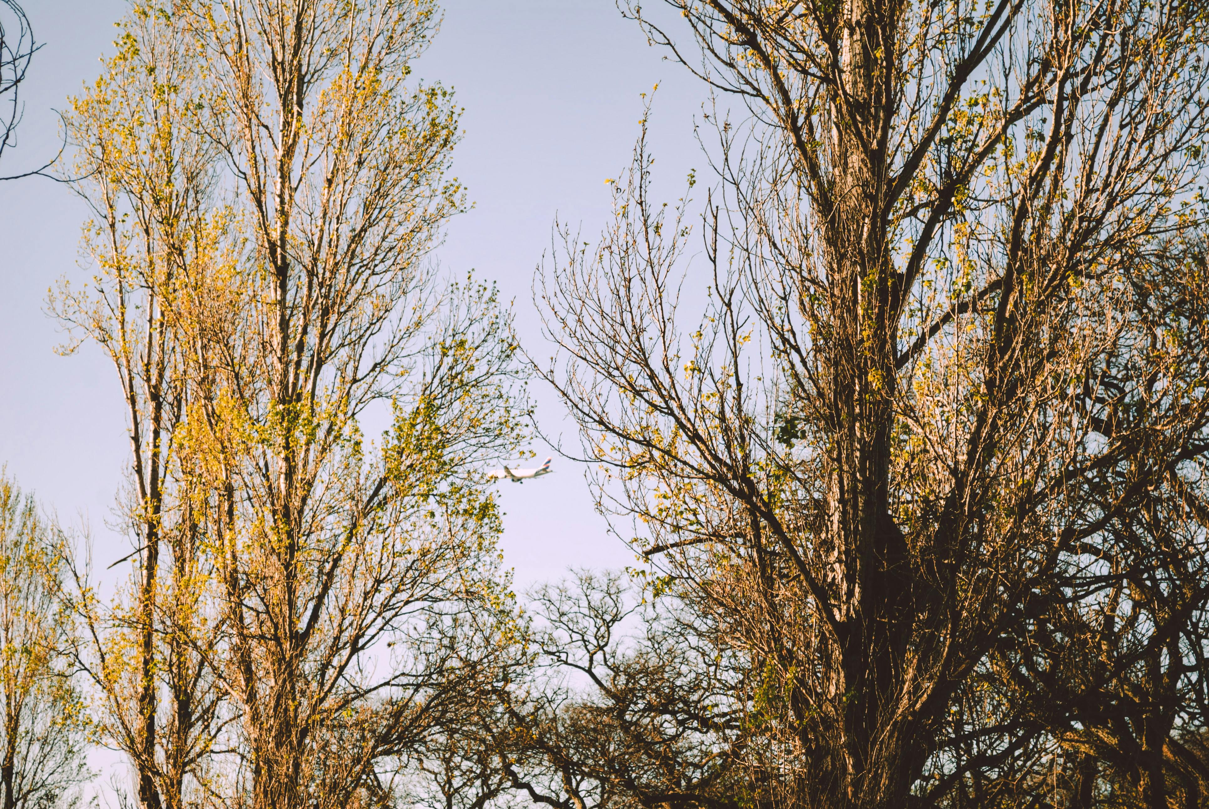 Le Nord de la Réunion
