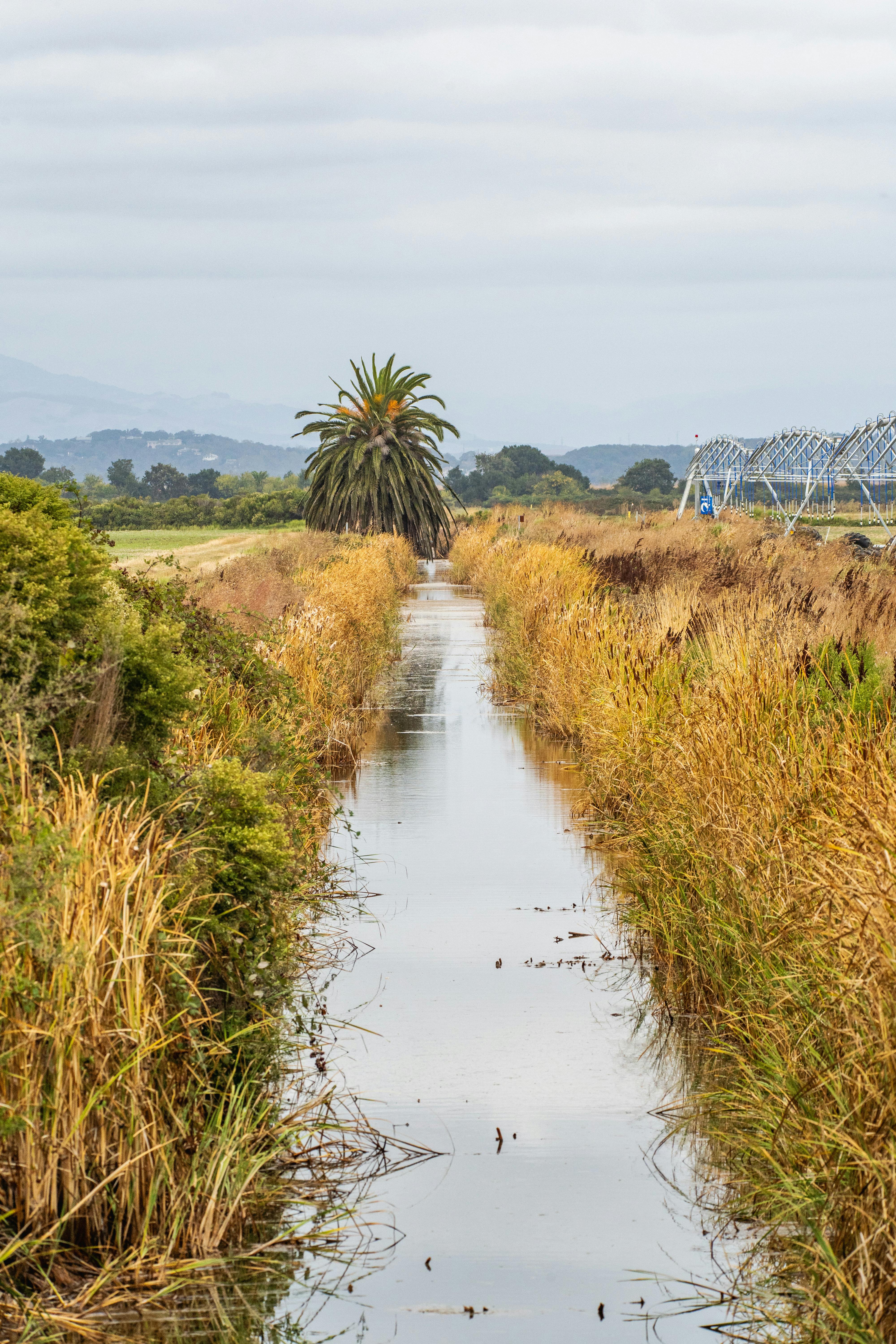 在多云的天空下，宁静的景观展现出其独特的魅力