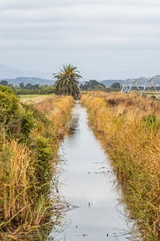 在多云的天空下，宁静的景观展现出其独特的魅力