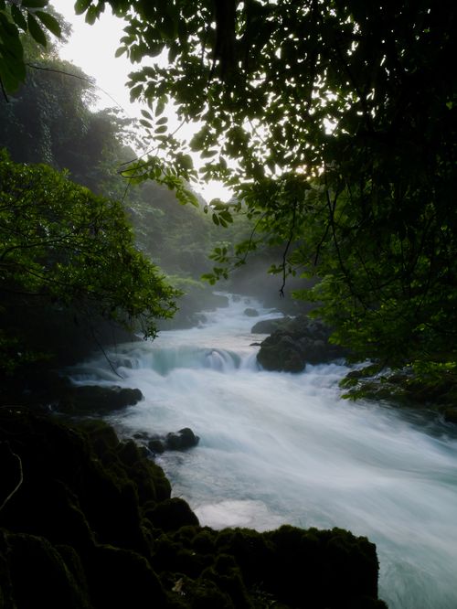 Free Serene view of a river cascading through a dense and lush green forest. Stock Photo