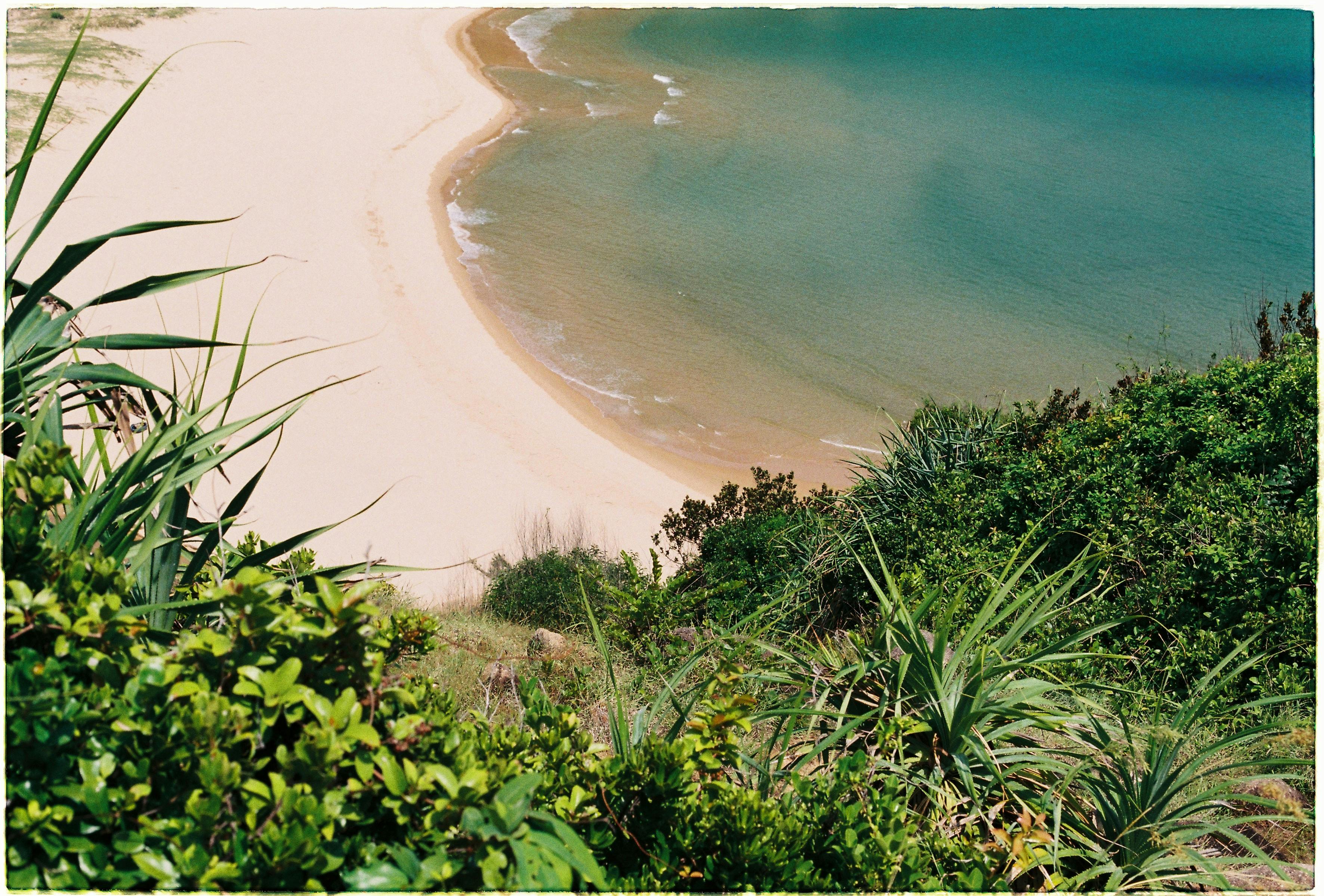 从山坡上，可以看到美丽的海滩景色，金色的沙滩和清澈的海水