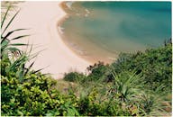 从山坡上，可以看到美丽的海滩景色，金色的沙滩和清澈的海水