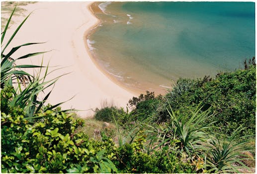 从山坡上，可以看到美丽的海滩景色，金色的沙滩和清澈的海水