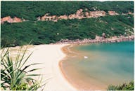 好的，我会按照您的要求进行句子优化