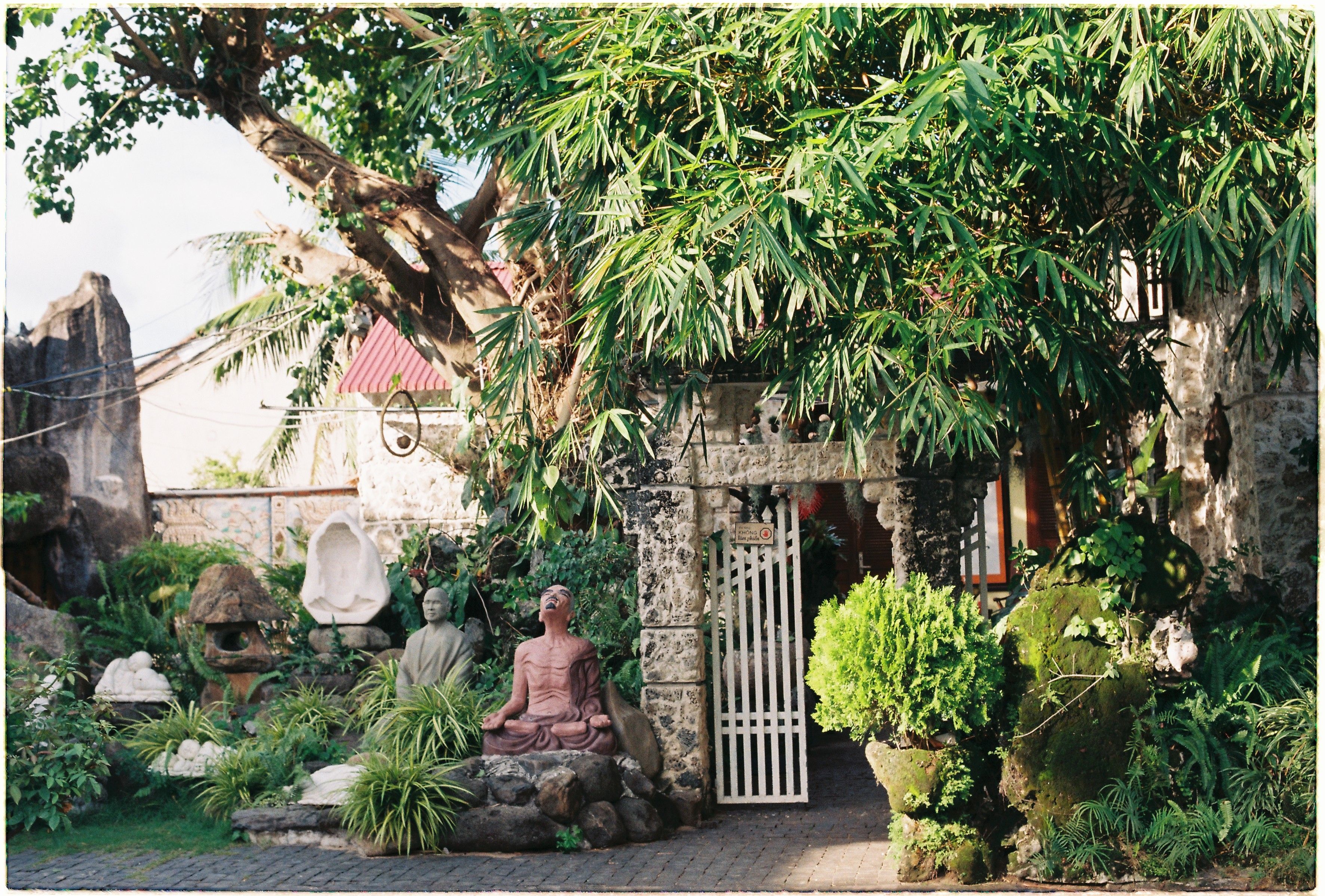 Peaceful garden scene featuring a Buddha statue amidst lush greenery and bamboo.
