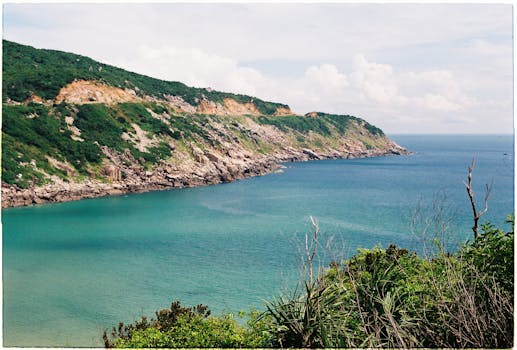 好的，我明白了