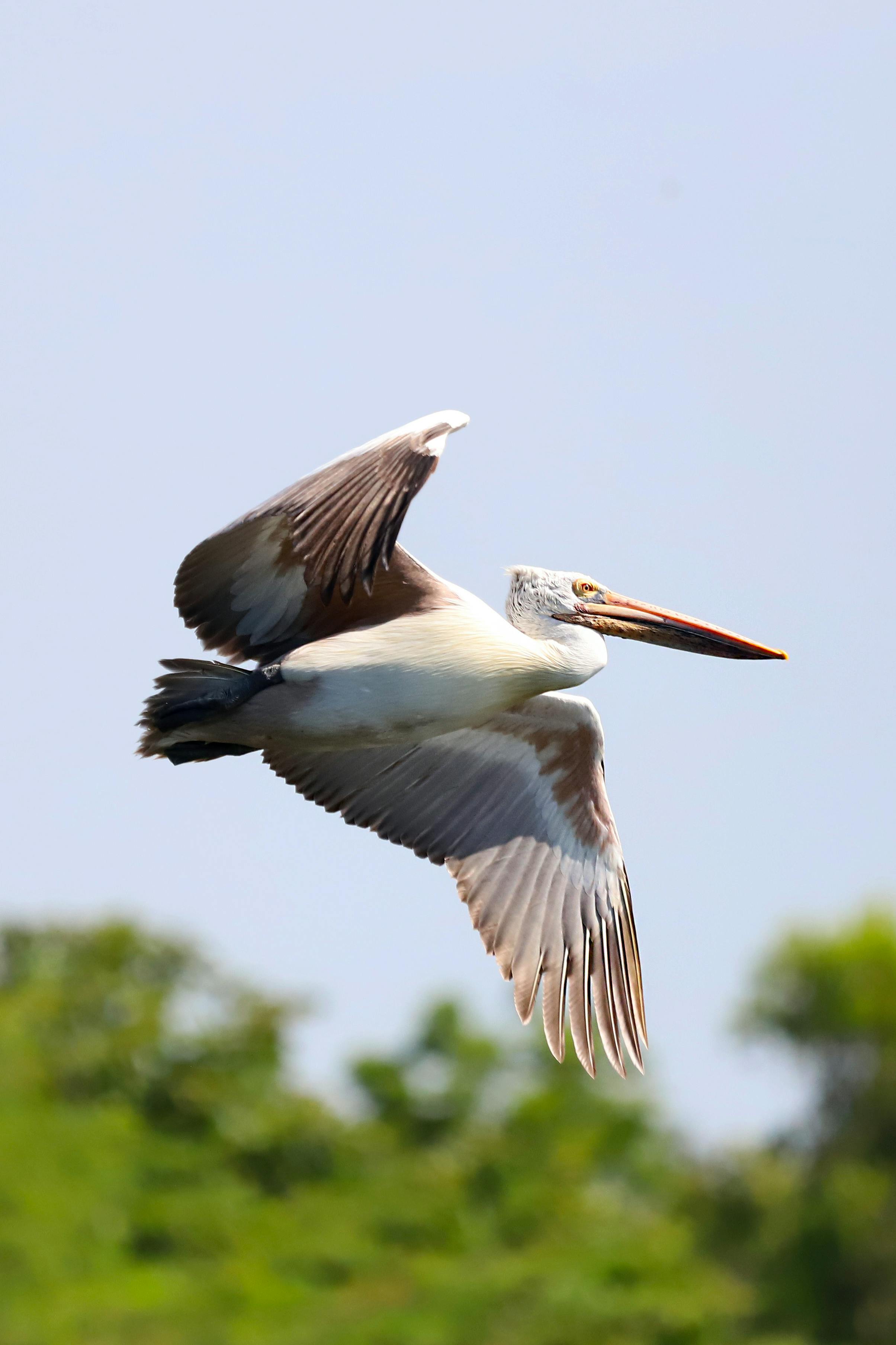 好的，我会按照您的要求进行句子优化，请提供需要修改的文本