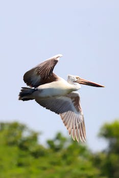 好的，我会按照您的要求进行句子优化，请提供需要修改的文本