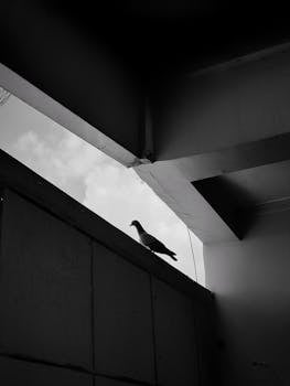 2025壁纸的免费库存照片，美丽的景色，美学