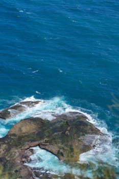 以下是优化后的句子：

