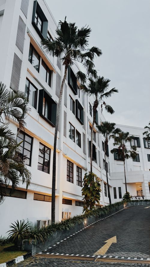 Free Elegant white building exterior with palm trees, evoking modern architectural style. Stock Photo