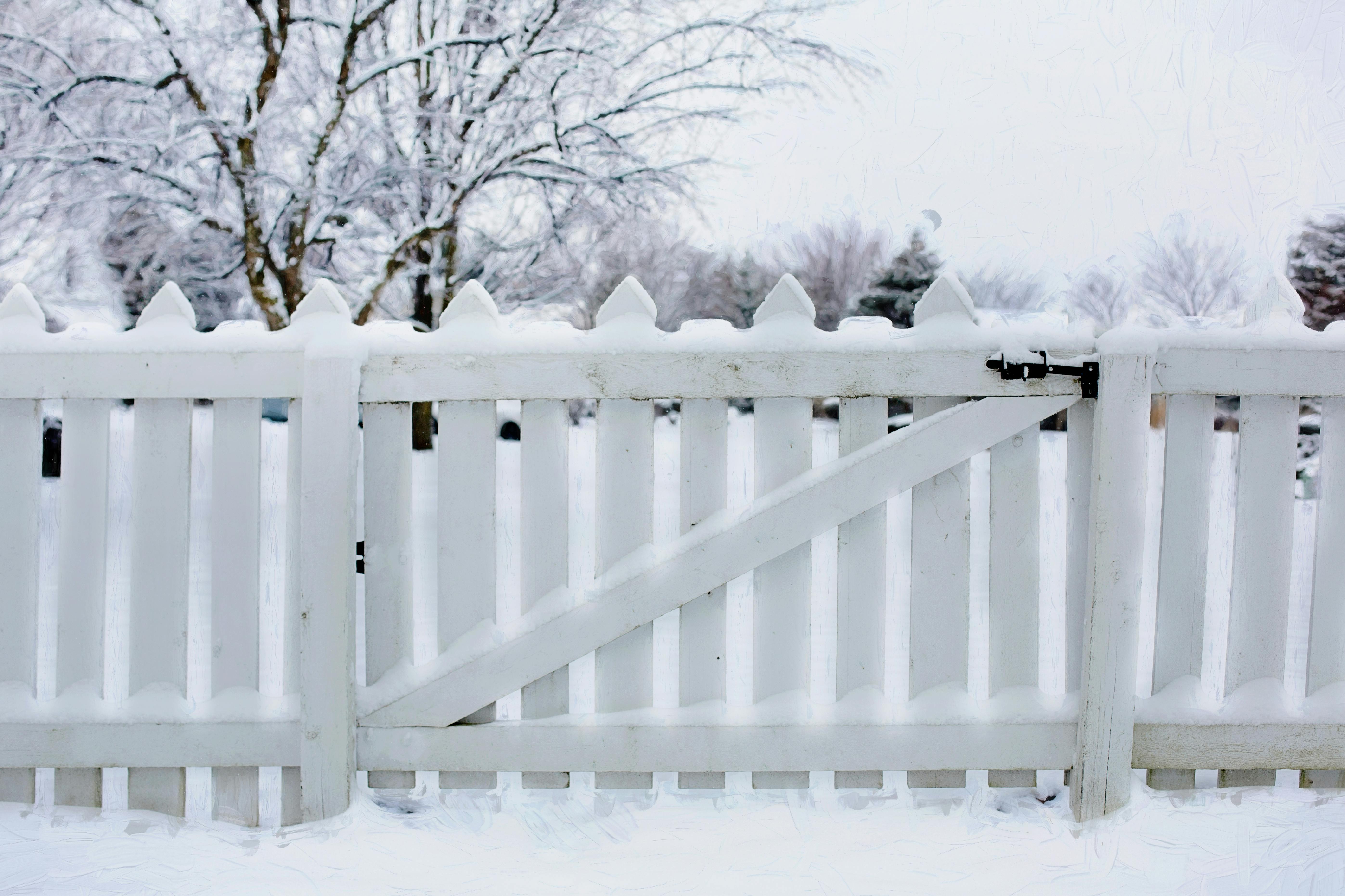 Photo Of Snow Covered Fence · Free Stock Photo