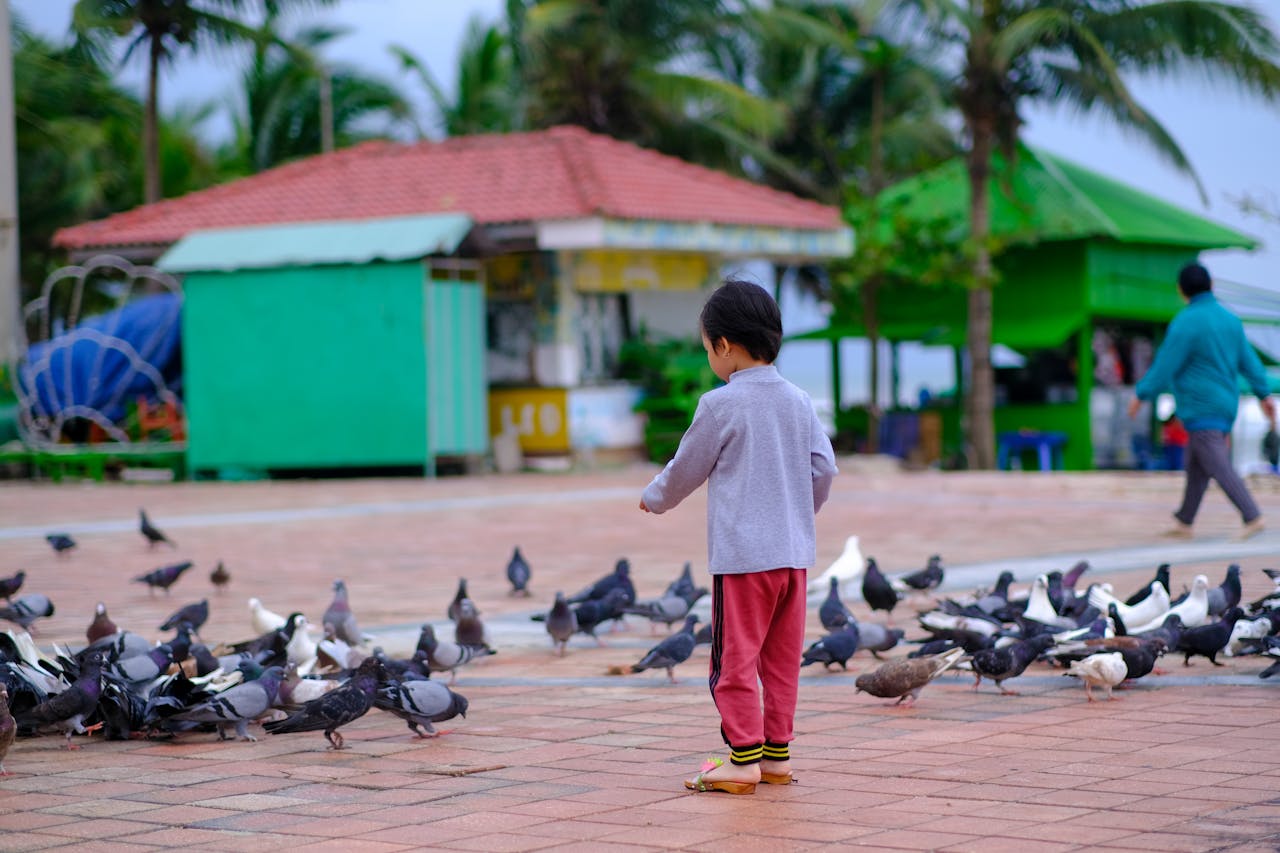 Cẩm nang du lịch Cô Tô