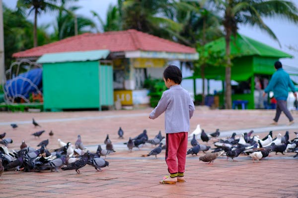Trung tâm nghiên cứu văn học, phát triển nhà văn Việt Nam