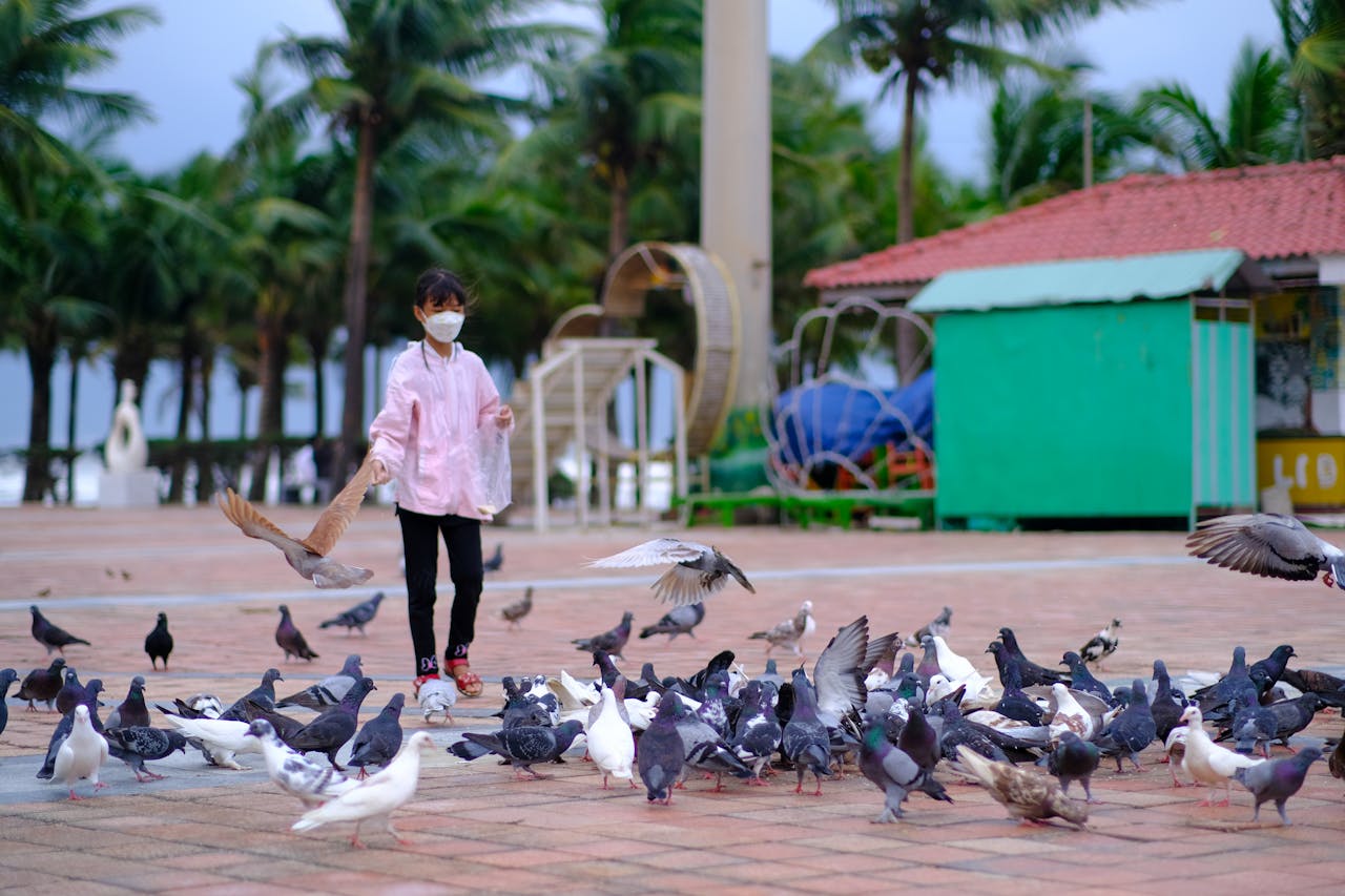 Tiểu sử nhà thơ Chế Lan Viên