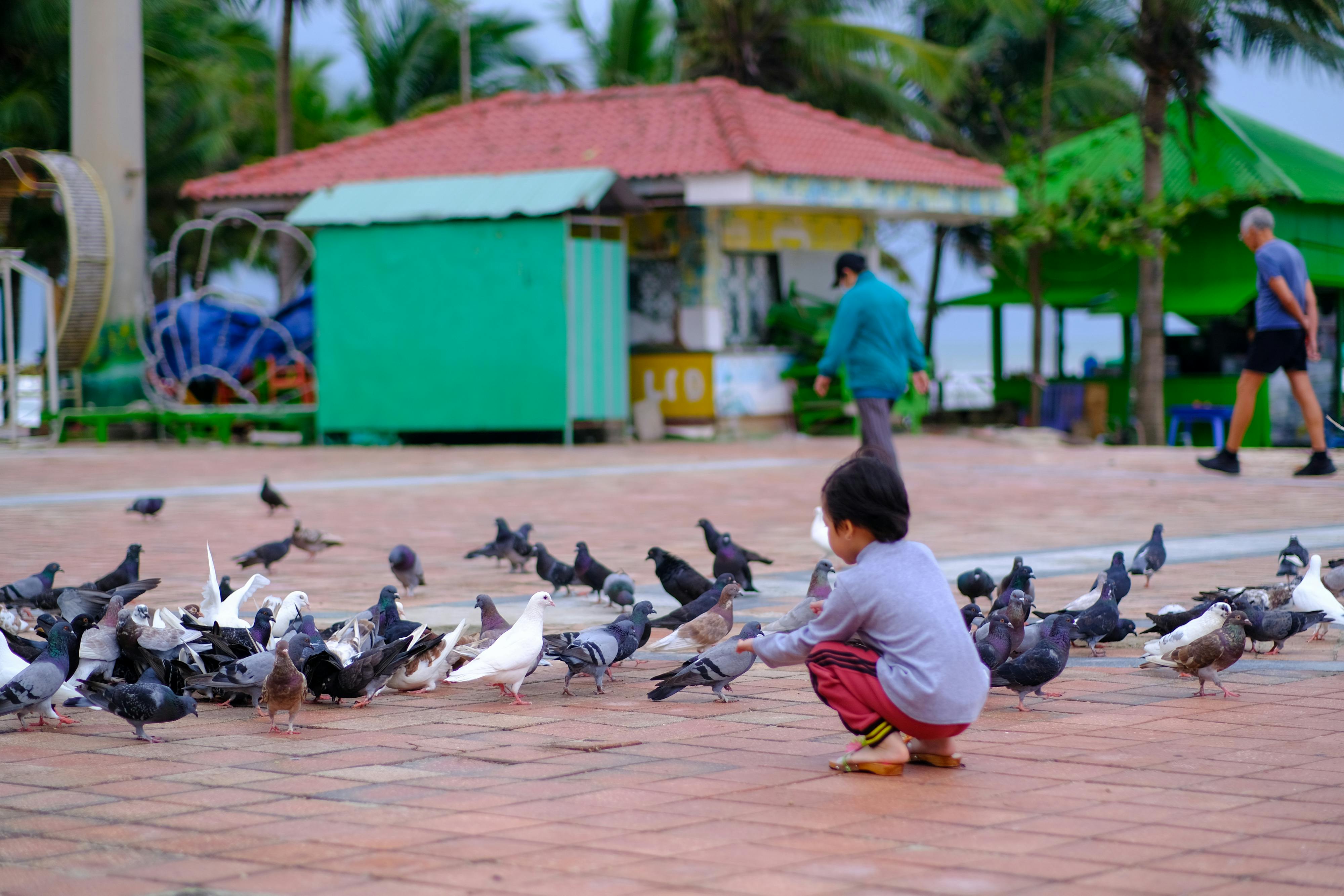 Trung tâm nghiên cứu văn học, phát triển nhà văn Việt Nam