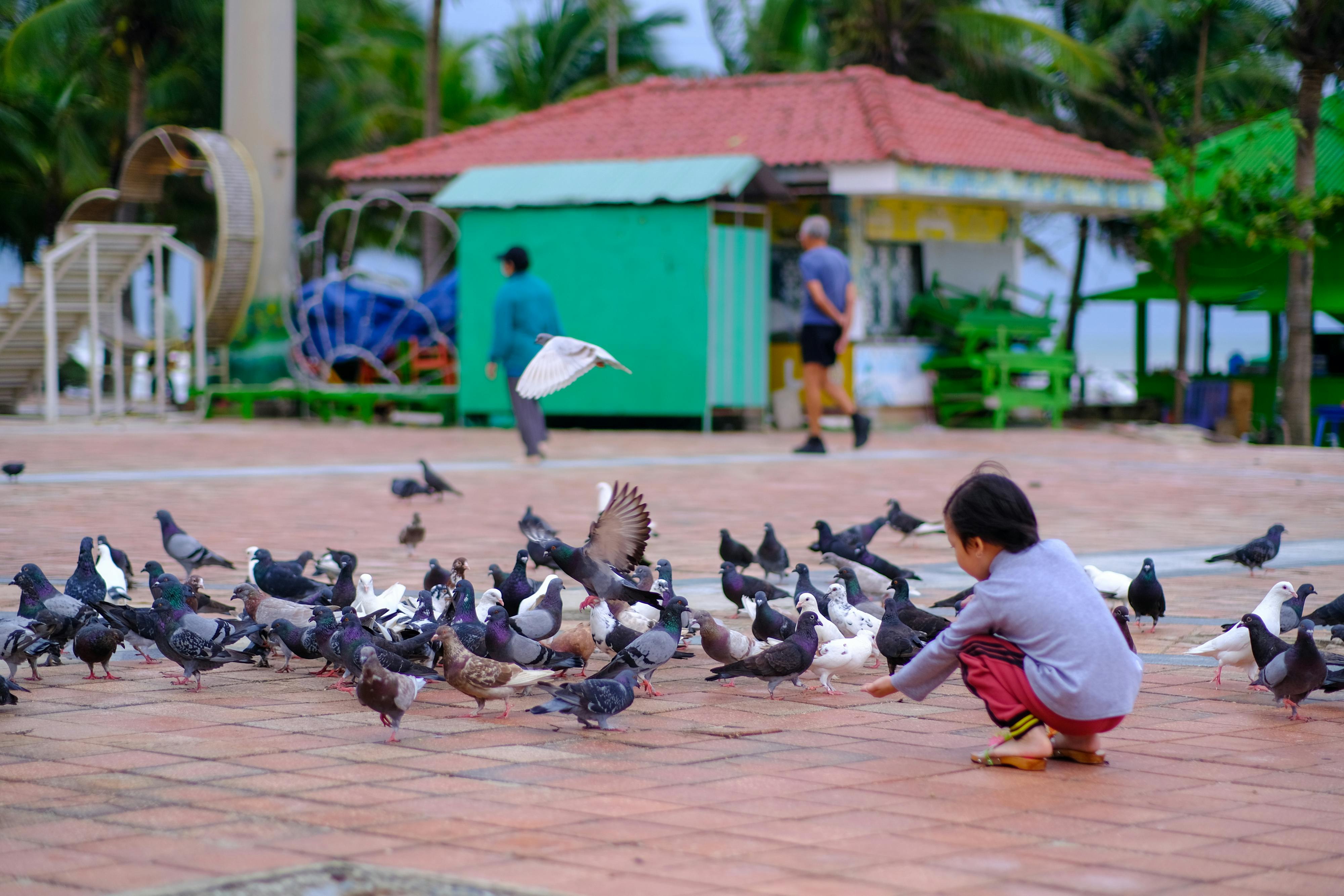 Danh sách theo thẻ gieo-trong-hanh-phuc