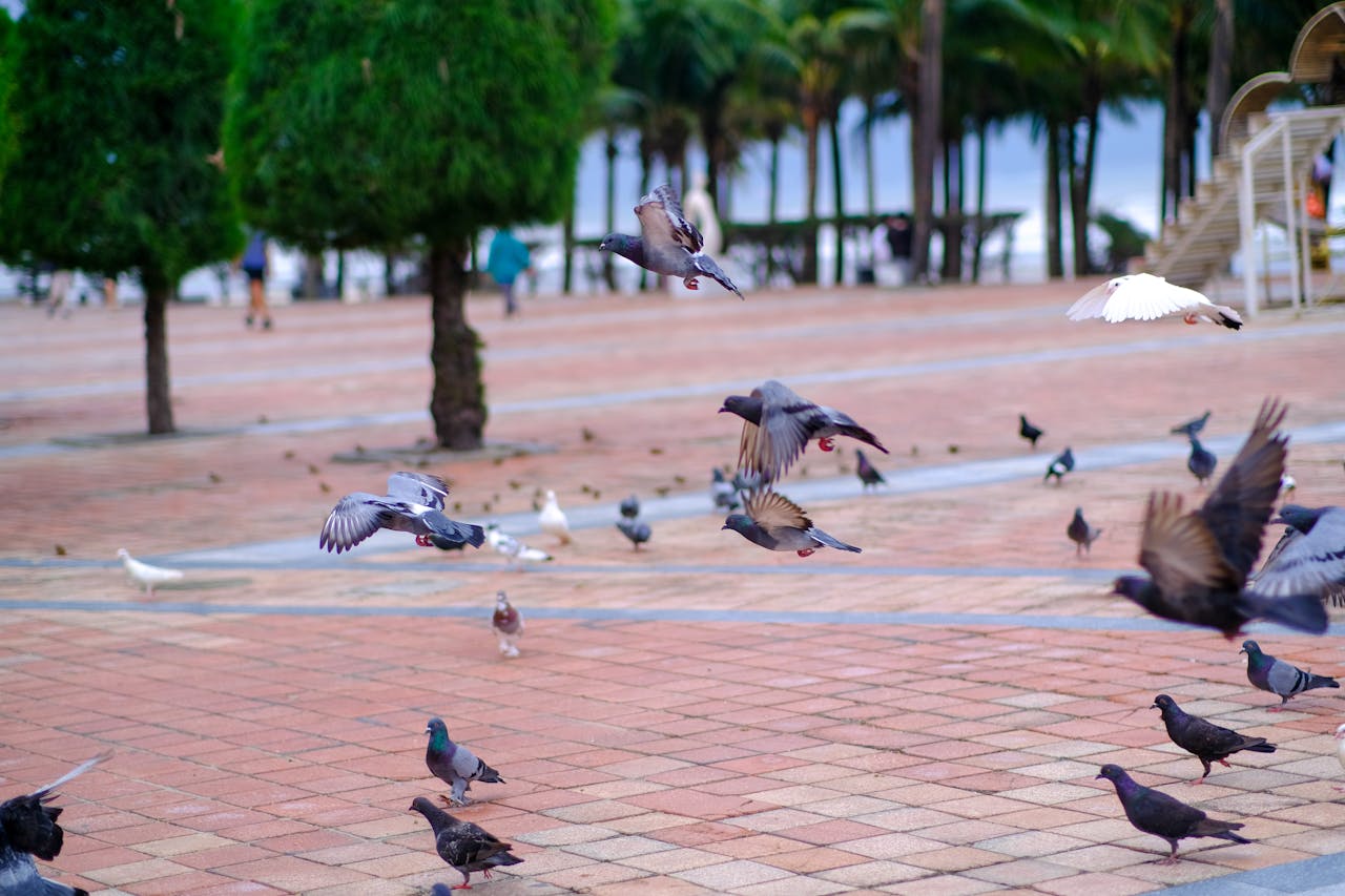 Thám tử lừng danh Conan | Chương 1060