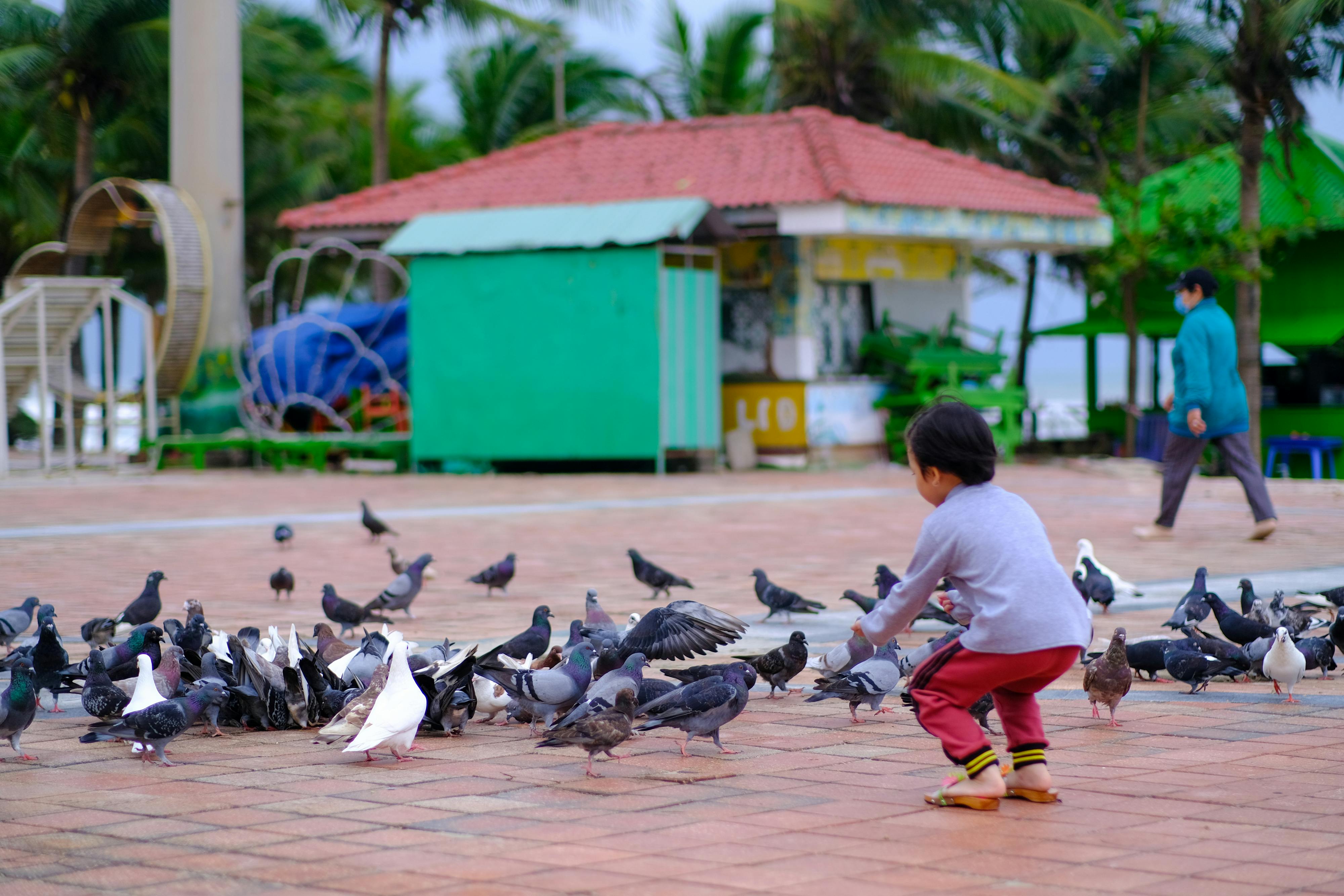 Trung tâm nghiên cứu văn học, phát triển nhà văn Việt Nam