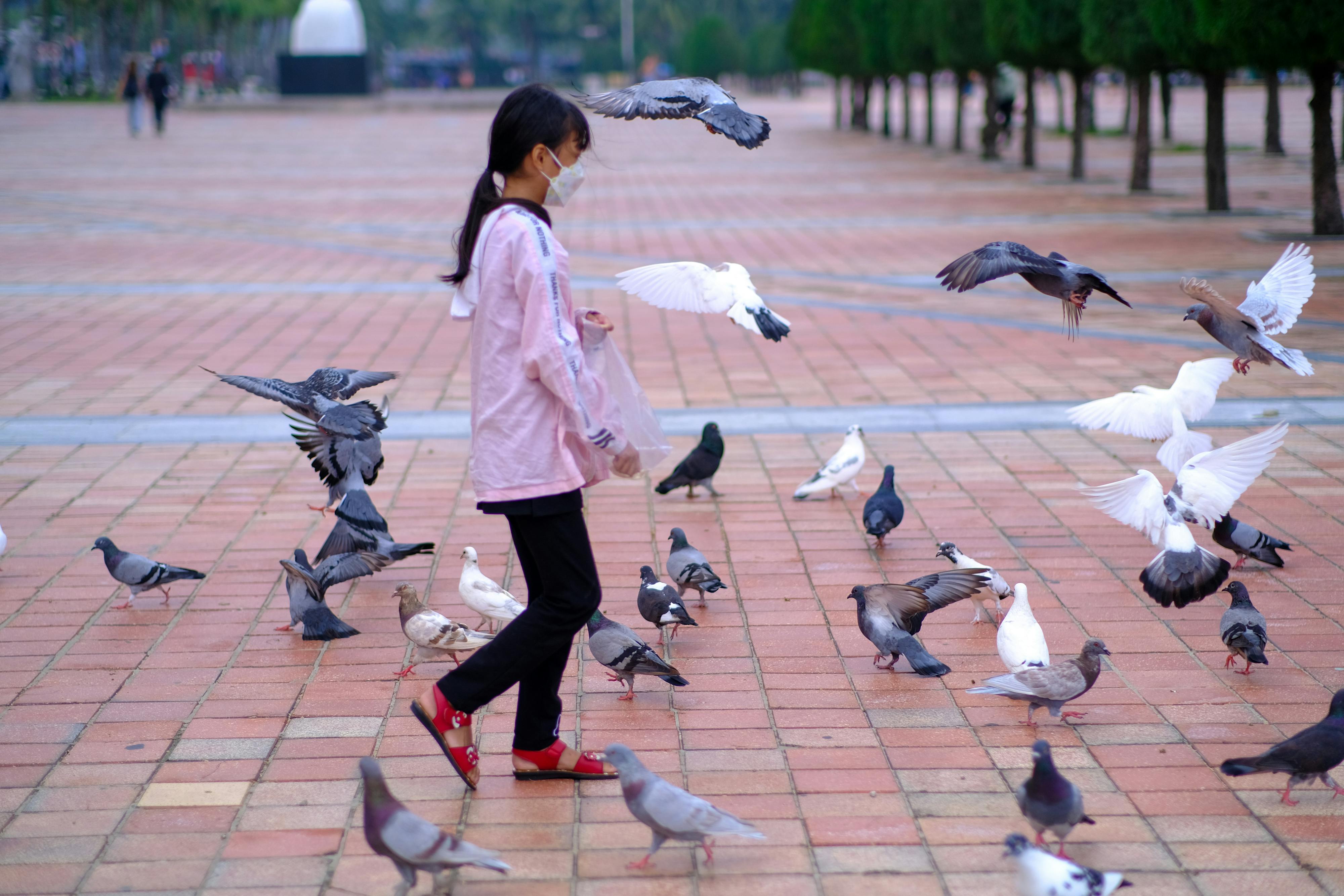 Trung tâm nghiên cứu văn học, phát triển nhà văn Việt Nam