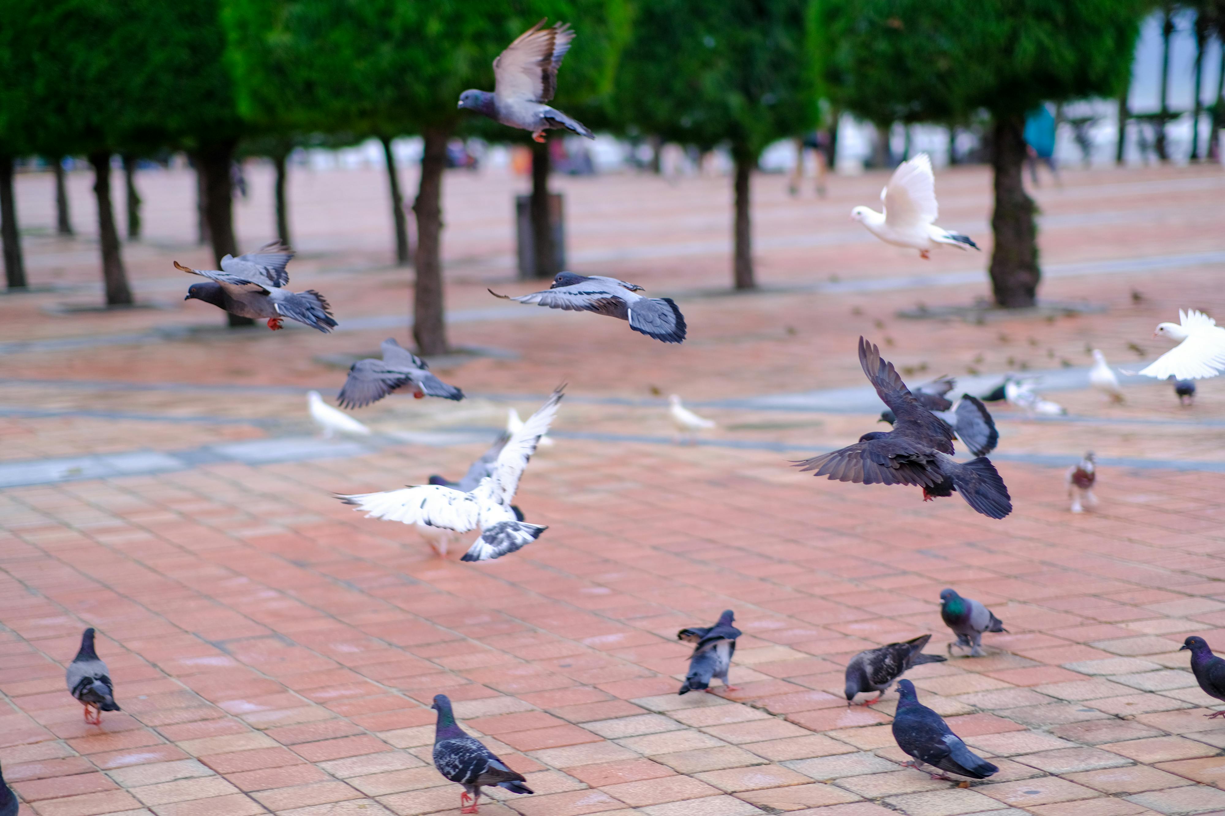 Trung tâm nghiên cứu văn học, phát triển nhà văn Việt Nam